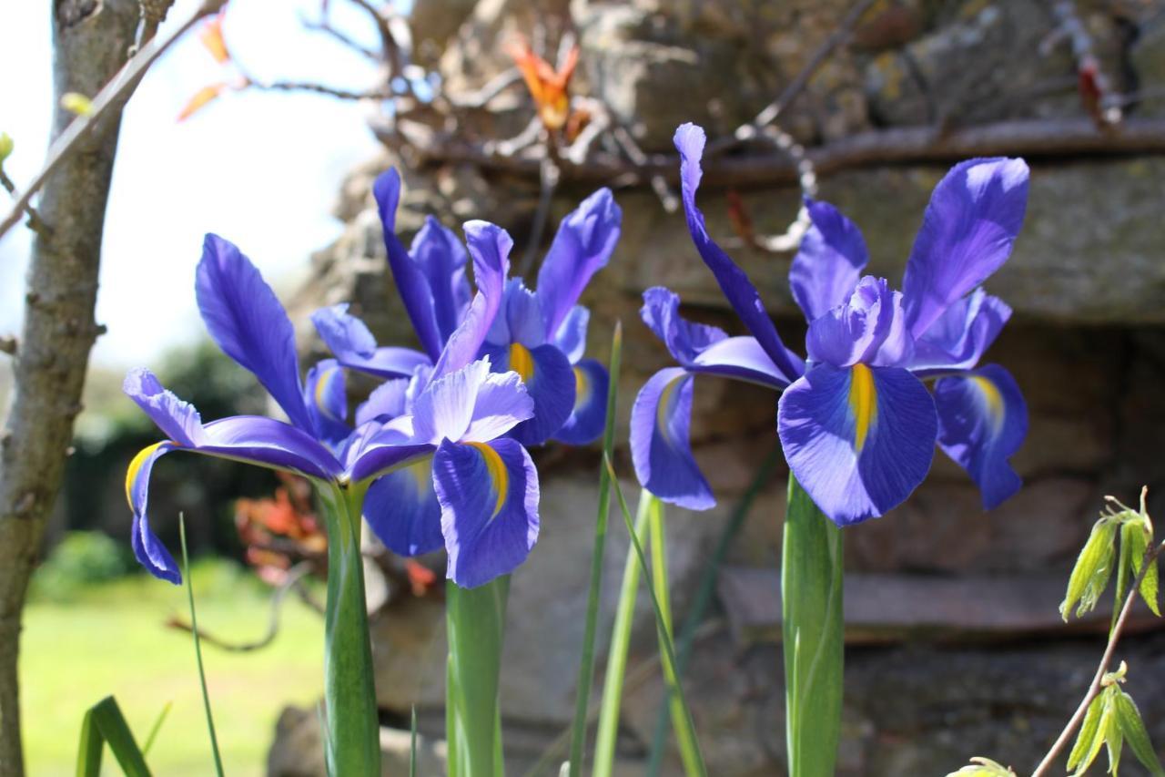 Mas Les Romarins, 10 Min D'Uzes, Grand Jardin, Nid De Repos Et Base Pour Activites Dans Le Gard, Max 8 Adultes Et 3 Enfants Villa Bagian luar foto