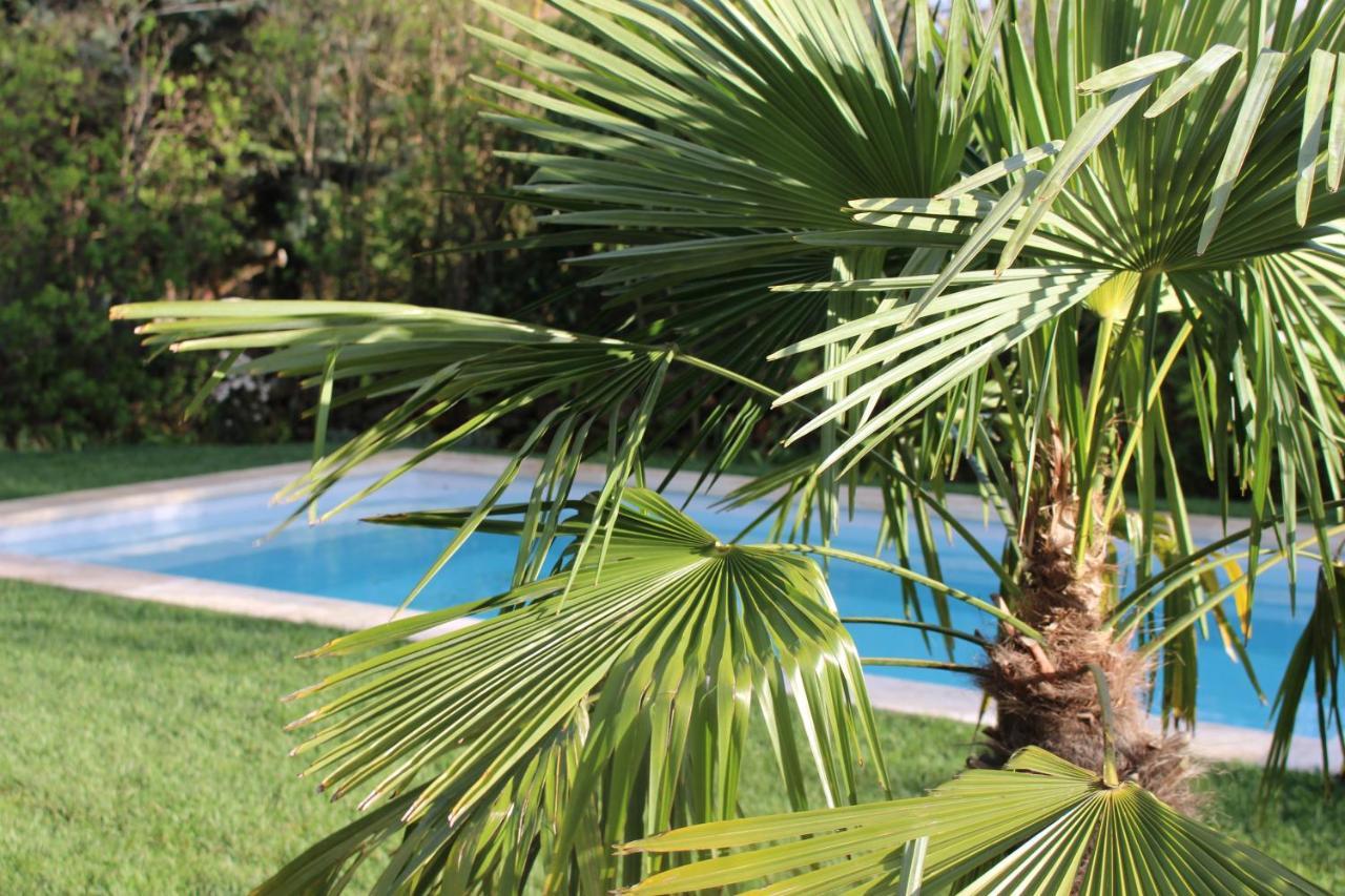 Mas Les Romarins, 10 Min D'Uzes, Piscine Et Grand Jardin Clos, Jeux, Nid De Repos Et Base Pour Activites Dans Le Gard (Adults Only) Bagian luar foto